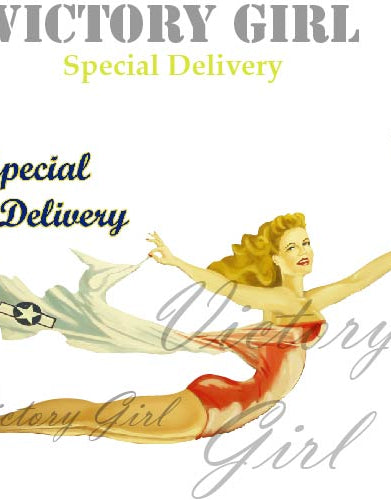 Special Delivery Nose Art Vinyl Decal Sticker