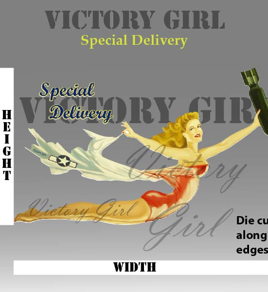 Special Delivery Nose Art Vinyl Decal Sticker