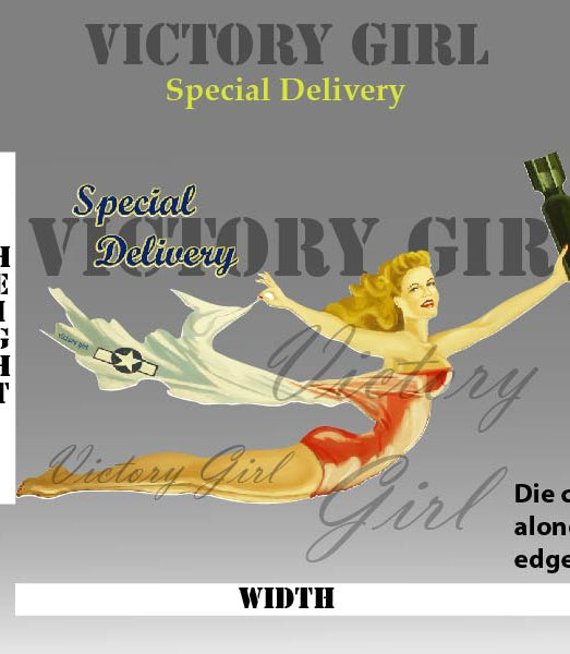 Special Delivery Nose Art Vinyl Decal Sticker