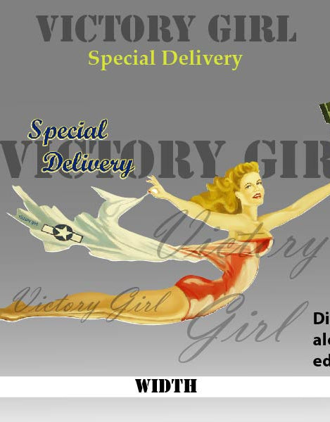 Special Delivery Nose Art Vinyl Decal Sticker