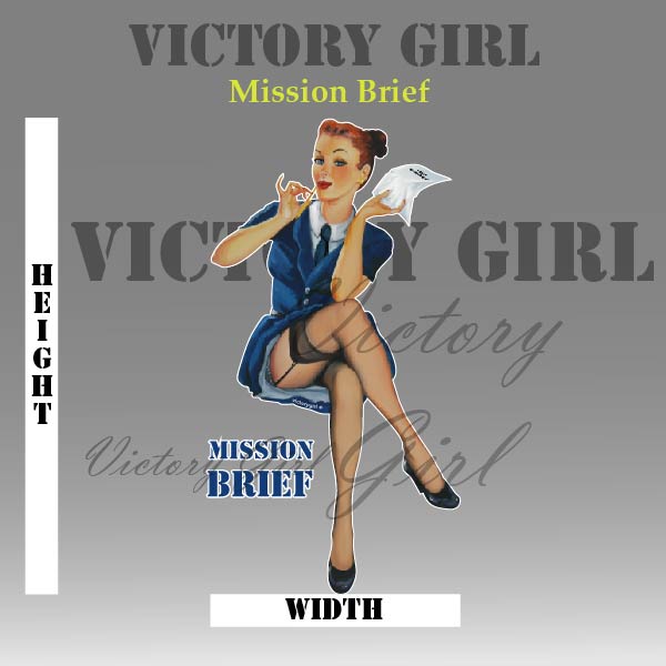 Mission Brief - no Background Vinyl Decal Sticker