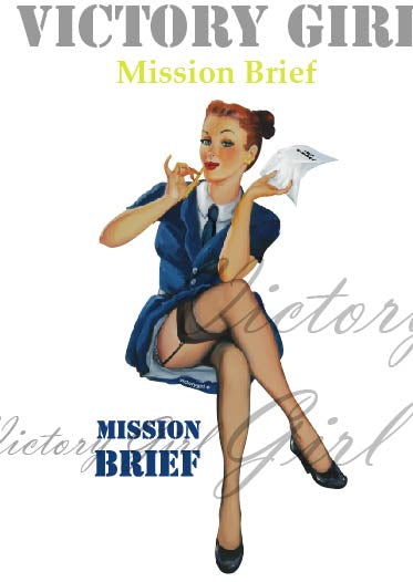Mission Brief - no Background Vinyl Decal Sticker