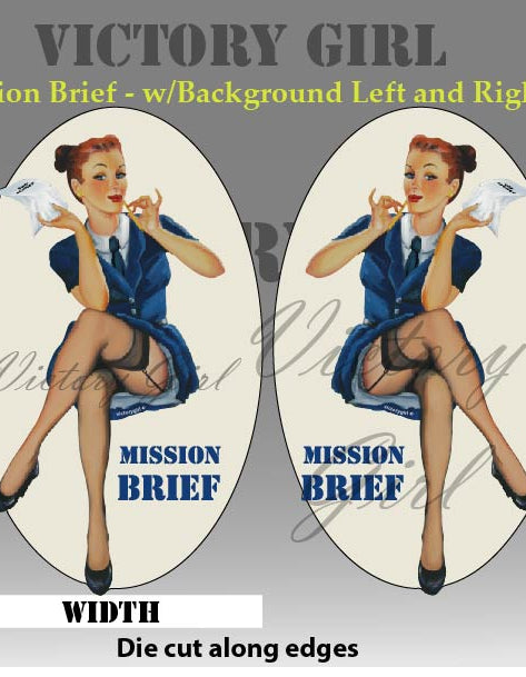 Mission Brief - with background Vinyl Decal Sticker