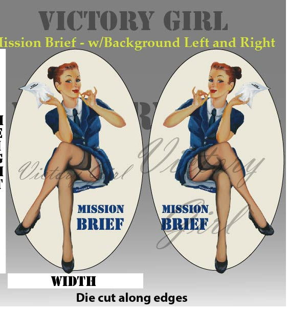 Mission Brief - with background Vinyl Decal Sticker