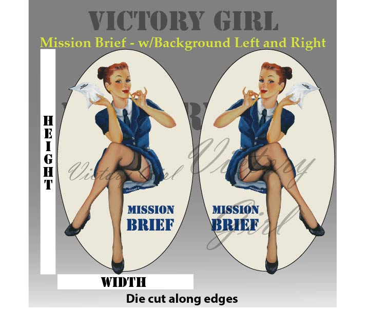 Mission Brief - with background Vinyl Decal Sticker