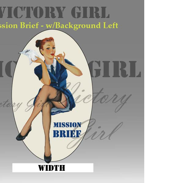Mission Brief - with background Vinyl Decal Sticker