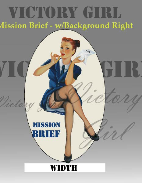 Mission Brief - with background Vinyl Decal Sticker