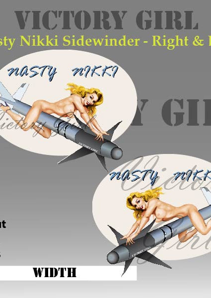 Nasty Nikki on Sidewinder Vinyl Decal Sticker