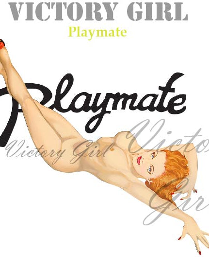 Playmate Nose Art Vinyl Decal Sticker