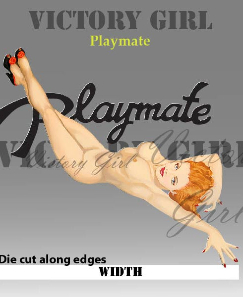 Playmate Nose Art Vinyl Decal Sticker