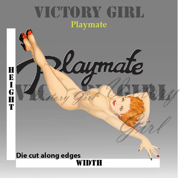 Playmate Nose Art Vinyl Decal Sticker