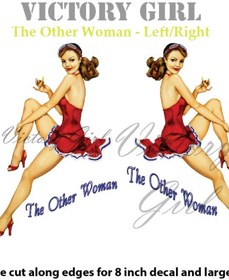 The Other Woman Nose Art Vinyl Decal Sticker