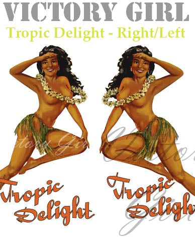 Tropic Delight Vinyl Decal Sticker