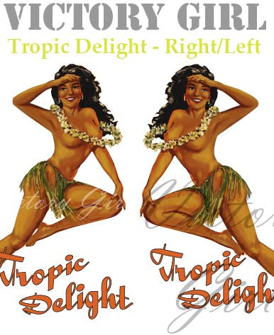 Tropic Delight Vinyl Decal Sticker