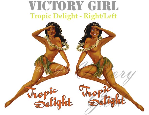 Tropic Delight Vinyl Decal Sticker