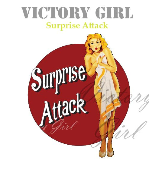 Surprise Attack Nose Art Vinyl Decal Sticker