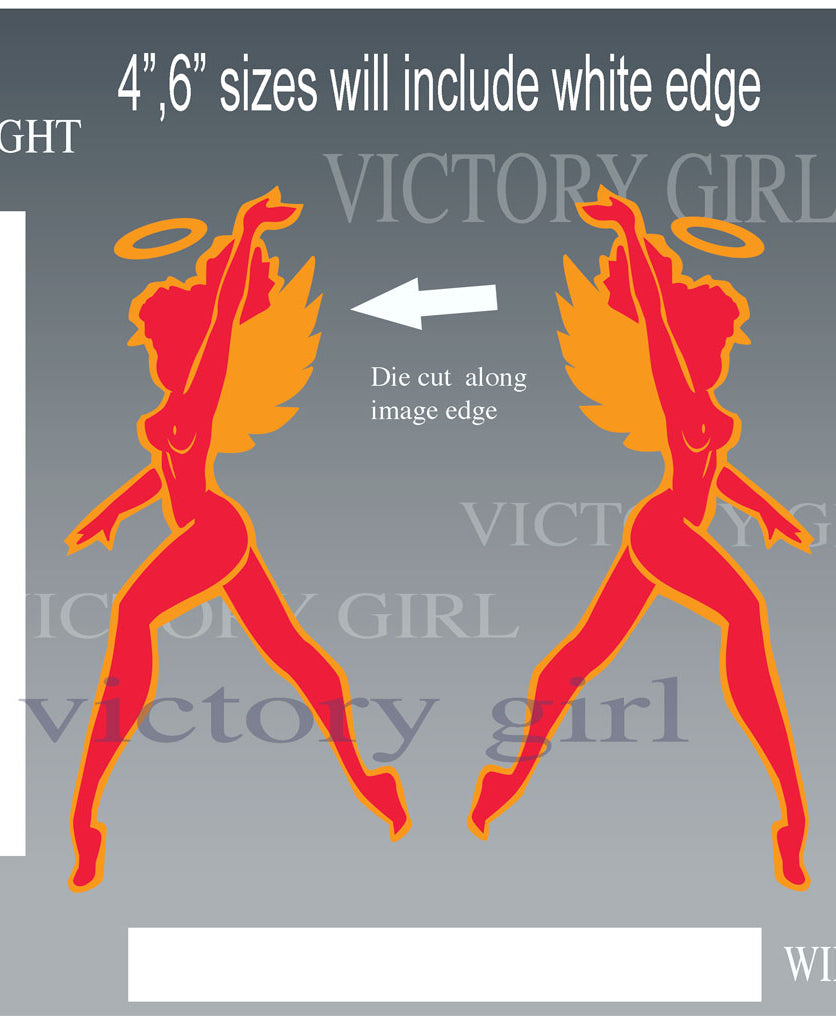 Hells Angel 3rd Pursuit Marking Vinyl Decal Sticker