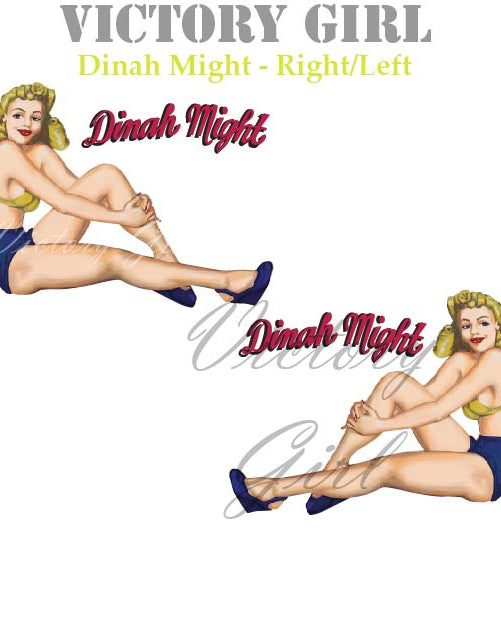 Dinah Might Nose Art Vinyl Decal Sticker