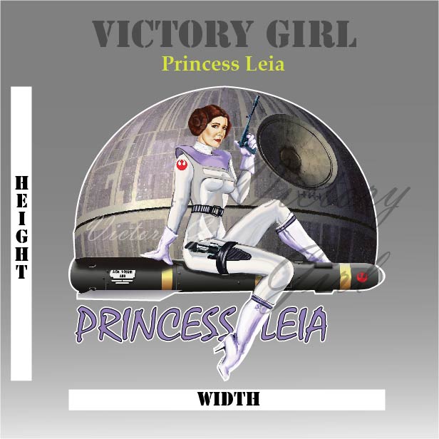 Princess Leia Vinyl Decal Sticker