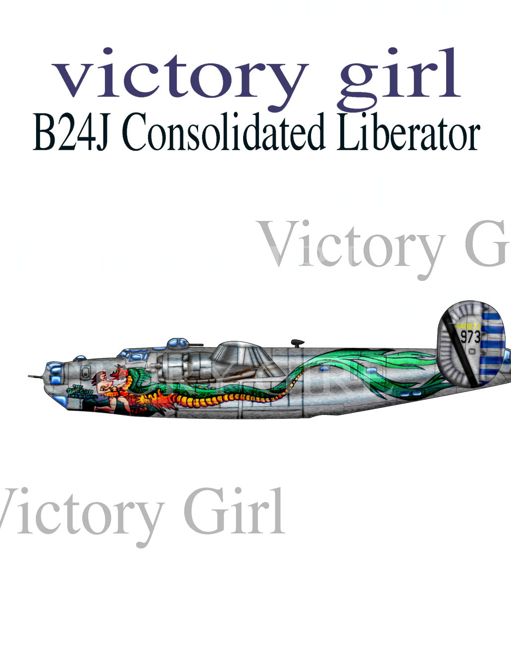 B24J Consolidated Liberator Vinyl Decal Sticker