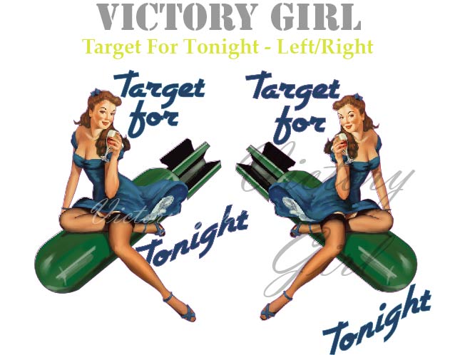 Target for Tonight Vinyl Decal Sticker