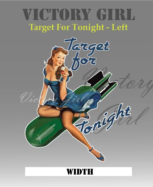 Target for Tonight Vinyl Decal Sticker
