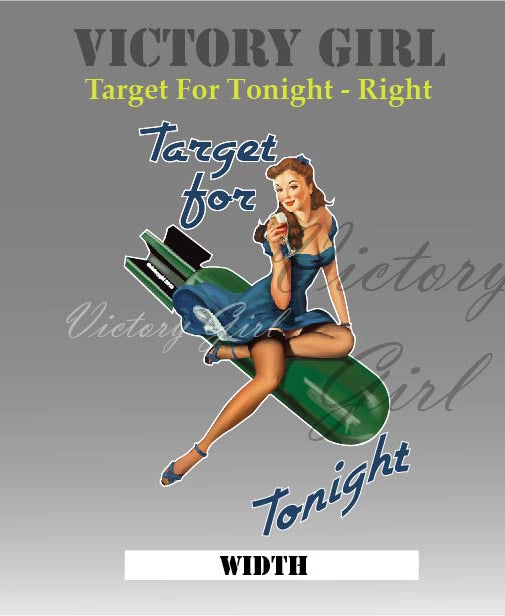 Target for Tonight Vinyl Decal Sticker