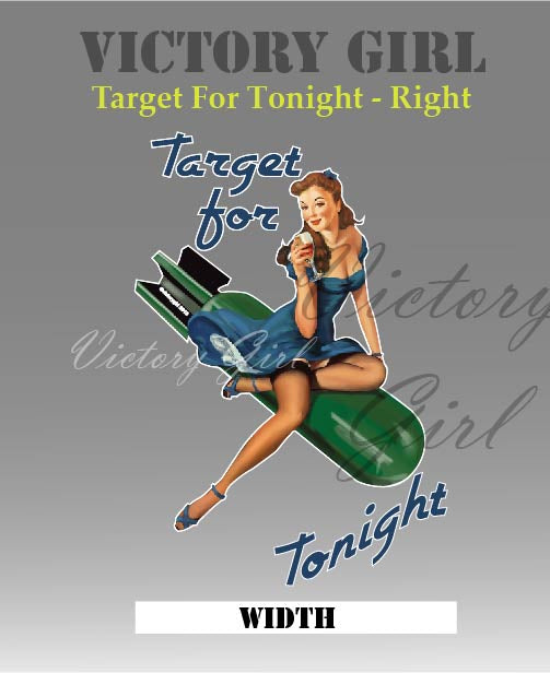 Target for Tonight Vinyl Decal Sticker