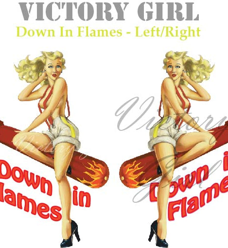 Down in Flames Vinyl Decal Sticker