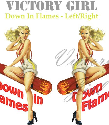 Down in Flames Vinyl Decal Sticker