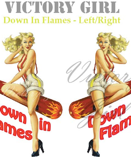 Down in Flames Vinyl Decal Sticker