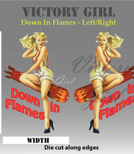 Down in Flames Vinyl Decal Sticker