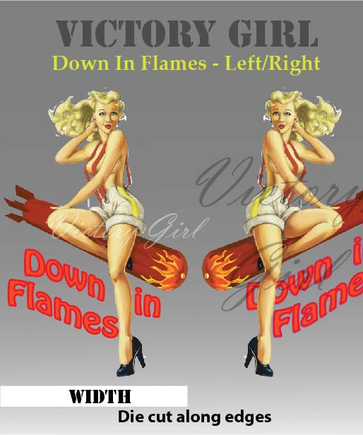 Down in Flames Vinyl Decal Sticker