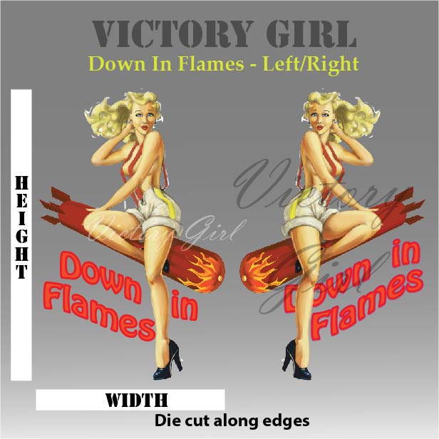 Down in Flames Vinyl Decal Sticker