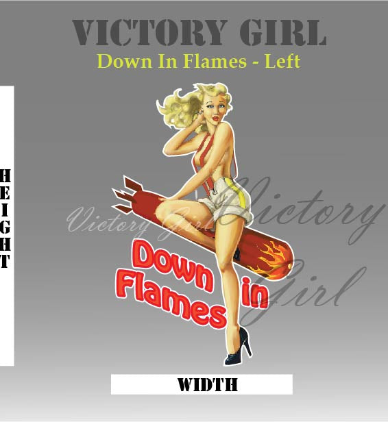 Down in Flames Vinyl Decal Sticker
