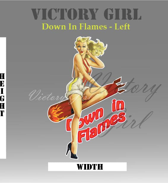 Down in Flames Vinyl Decal Sticker