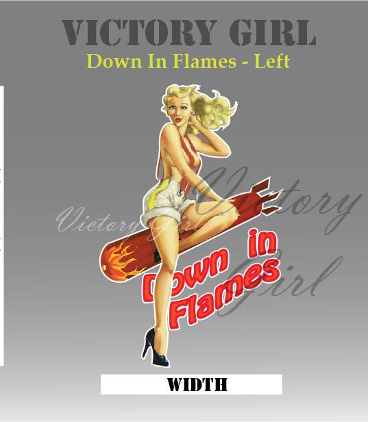 Down in Flames Vinyl Decal Sticker
