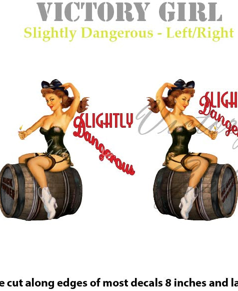Slightly Dangerous Nose Art Vinyl Decal Sticker