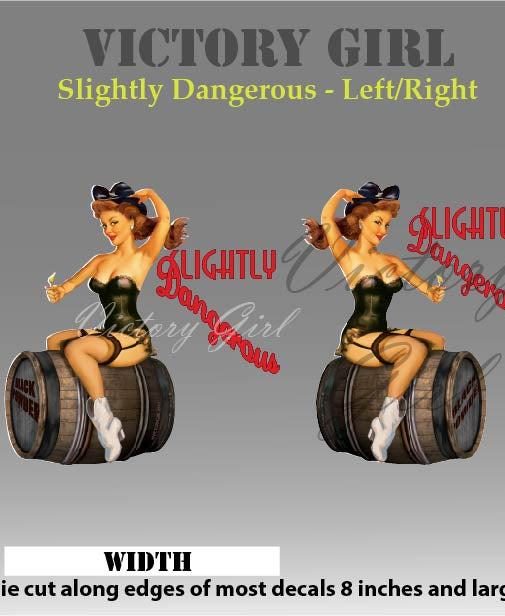 Slightly Dangerous Nose Art Vinyl Decal Sticker