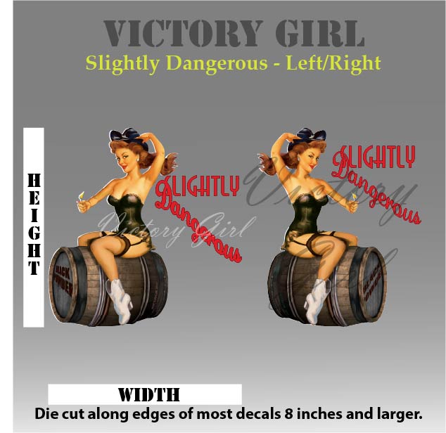 Slightly Dangerous Nose Art Vinyl Decal Sticker