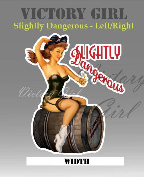 Slightly Dangerous Nose Art Vinyl Decal Sticker