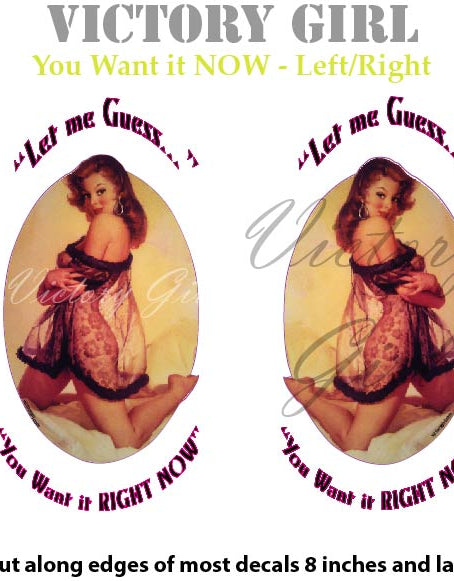 You Want It Now Vinyl Decal Sticker