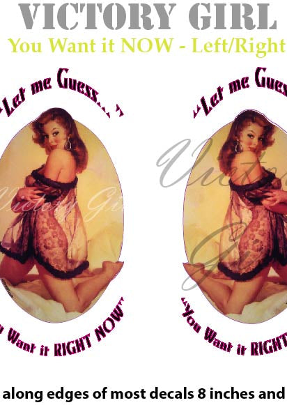 You Want It Now Vinyl Decal Sticker