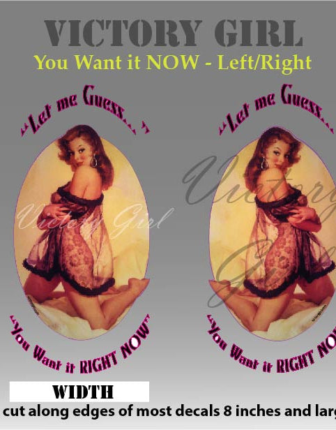 You Want It Now Vinyl Decal Sticker