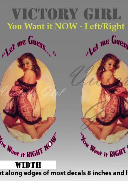 You Want It Now Vinyl Decal Sticker