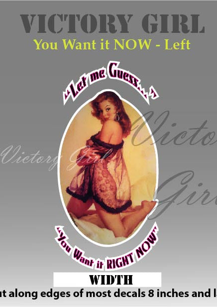 You Want It Now Vinyl Decal Sticker