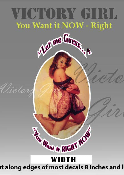 You Want It Now Vinyl Decal Sticker