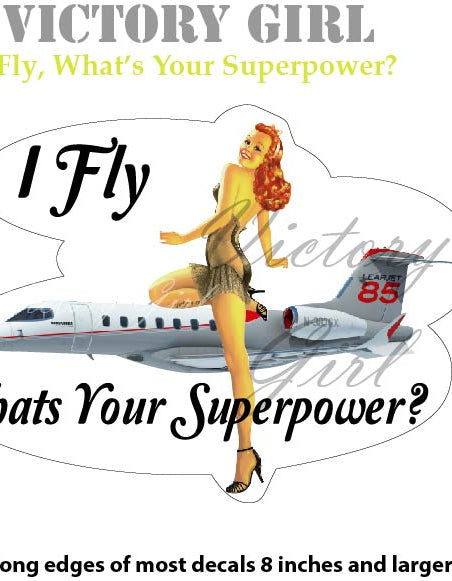 I Fly What's Your Superpower Vinyl Decal Sticker