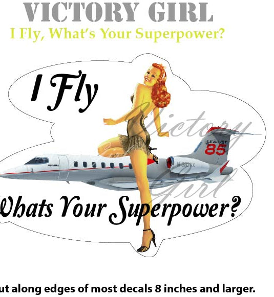 I Fly What's Your Superpower Vinyl Decal Sticker