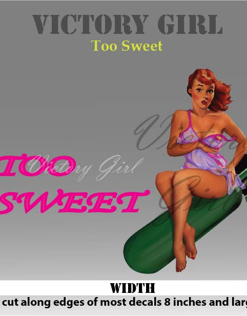 Too Sweet Vinyl Decal Sticker